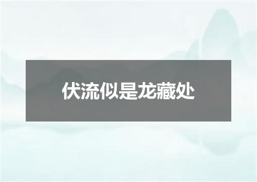 伏流似是龙藏处
