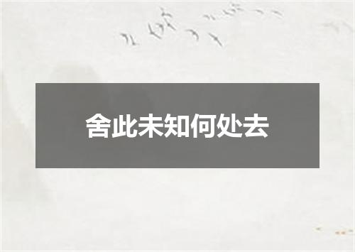 舍此未知何处去