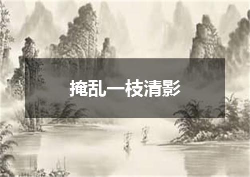 掩乱一枝清影