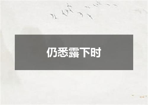 仍悉露下时