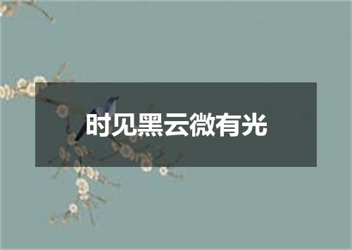 时见黑云微有光