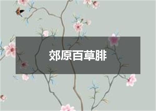郊原百草腓