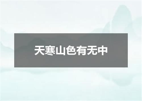 天寒山色有无中