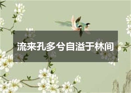 流来孔多兮自溢于林间