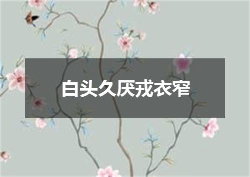 白头久厌戎衣窄