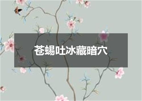 苍蜴吐冰藏暗穴