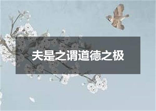 夫是之谓道德之极