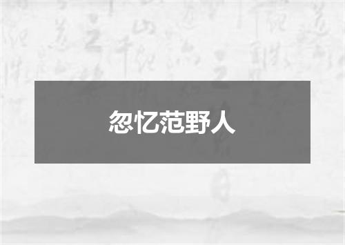 忽忆范野人