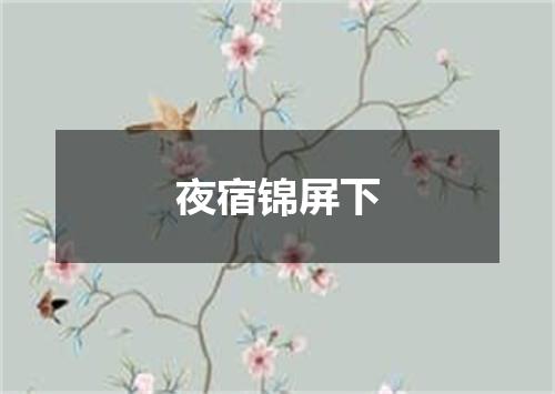 夜宿锦屏下
