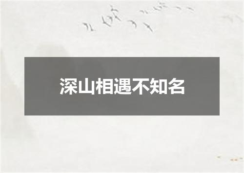 深山相遇不知名