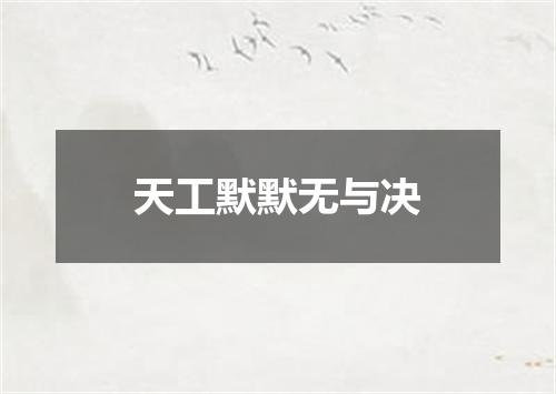 天工默默无与决