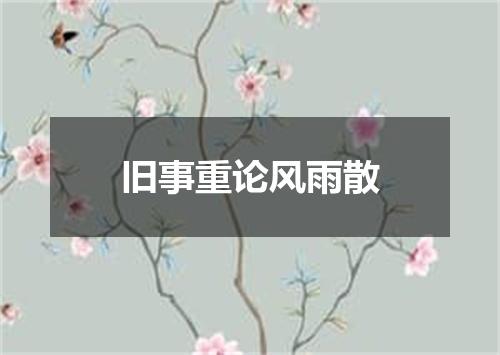 旧事重论风雨散