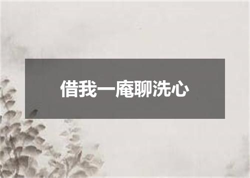 借我一庵聊洗心