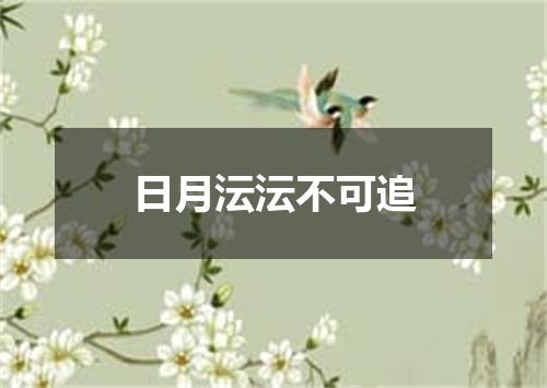 日月沄沄不可追