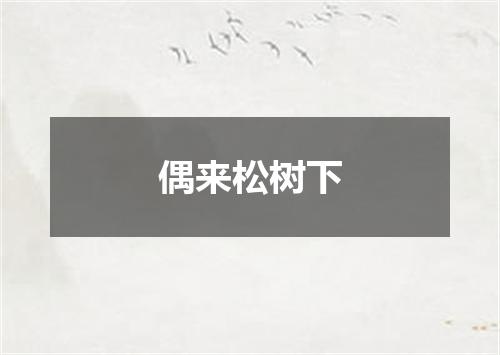 偶来松树下