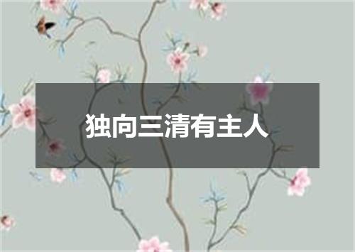 独向三清有主人