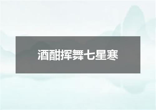 酒酣挥舞七星寒