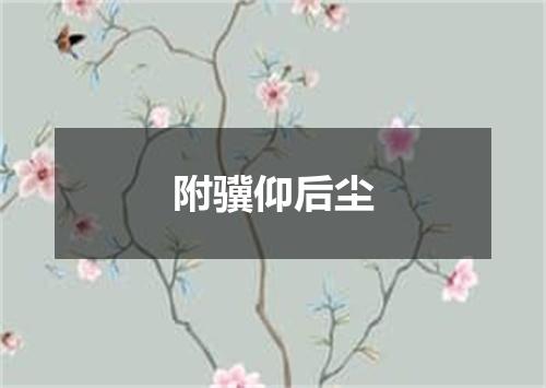 附骥仰后尘