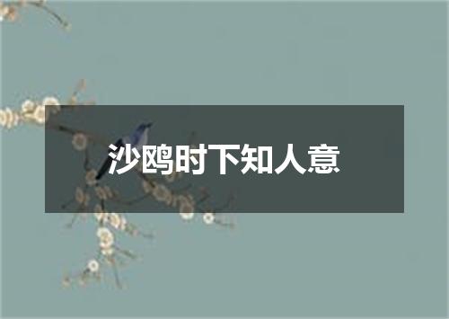 沙鸥时下知人意