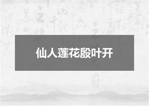仙人莲花殷叶开