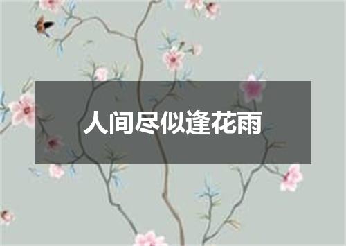 人间尽似逢花雨