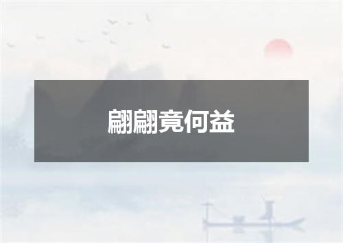 翩翩竟何益