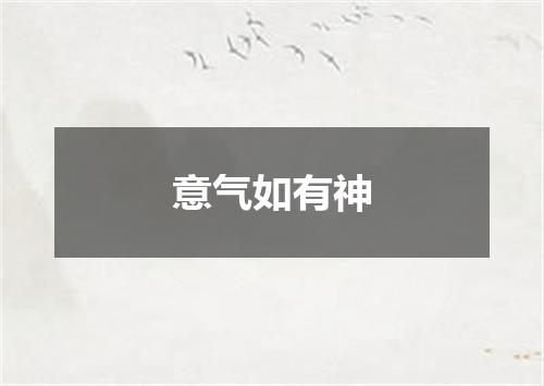 意气如有神