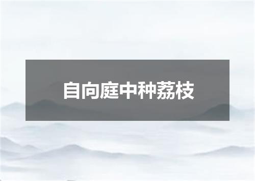 自向庭中种荔枝