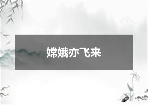 嫦娥亦飞来