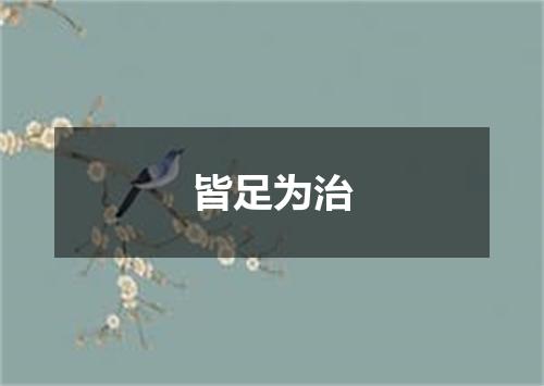 皆足为治