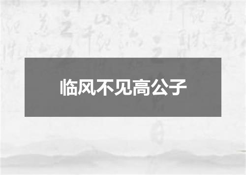 临风不见高公子