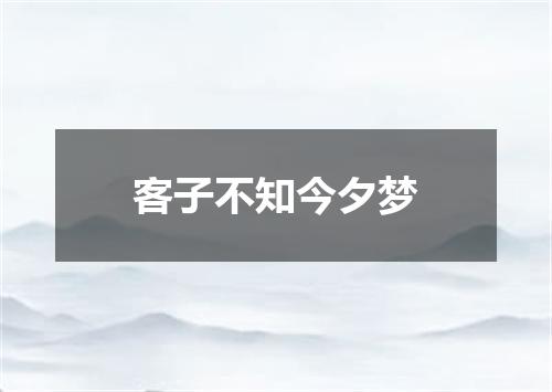 客子不知今夕梦