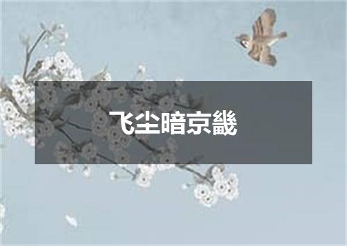飞尘暗京畿