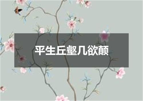 平生丘壑几欲颠