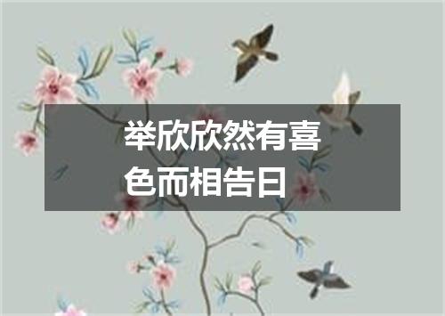 举欣欣然有喜色而相告曰