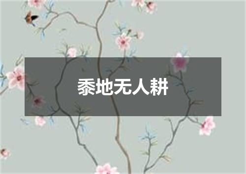黍地无人耕