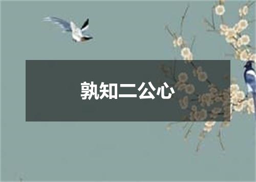 孰知二公心
