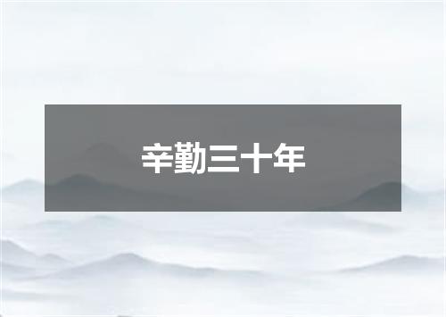 辛勤三十年