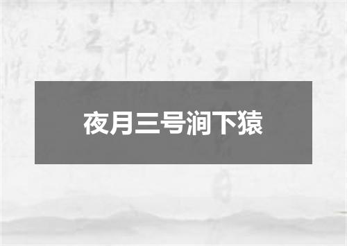 夜月三号涧下猿