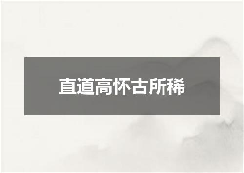 直道高怀古所稀