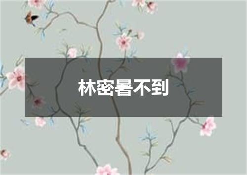 林密暑不到