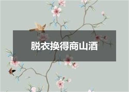 脱衣换得商山酒