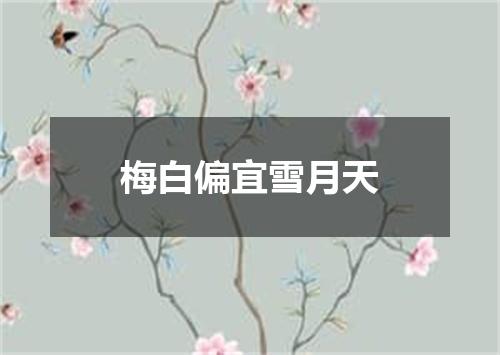 梅白偏宜雪月天