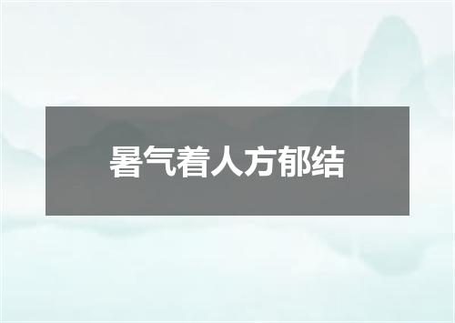 暑气着人方郁结