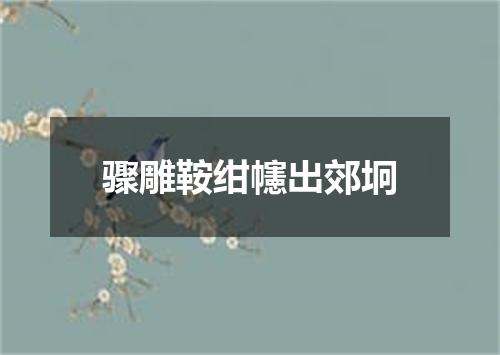 骤雕鞍绀幰出郊坰