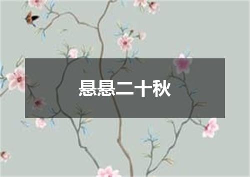 悬悬二十秋