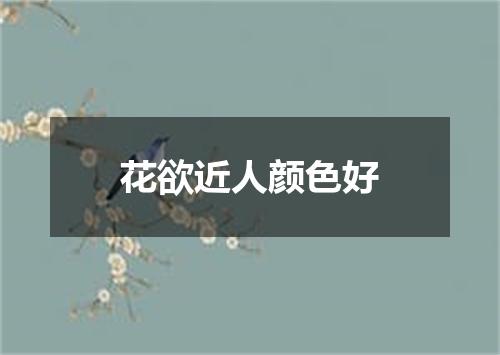 花欲近人颜色好