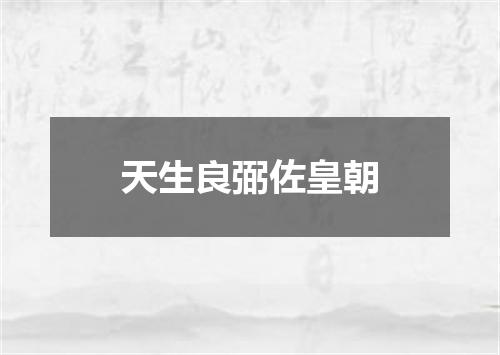 天生良弼佐皇朝