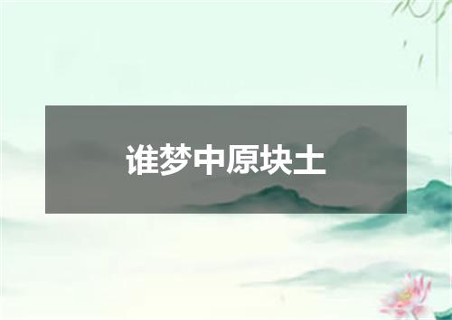 谁梦中原块土