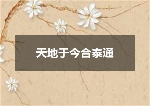 天地于今合泰通